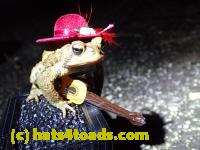 /home//u458753944/public_html/sourcegallery//Roxborough Toad Detour/2013-2019/2017/P4050684.JPG